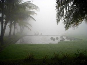 east godavari2
