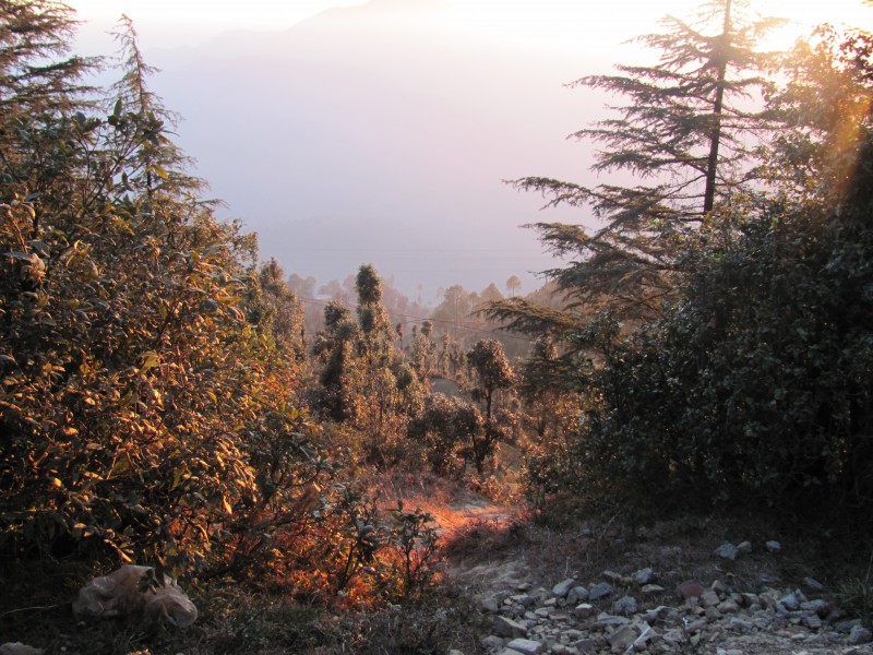 View of the valley, on the way to Kanatal