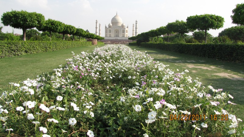 World Heritage : The Taj Mahal