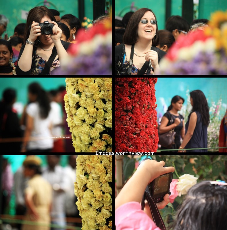 bangaloe flower show 2014