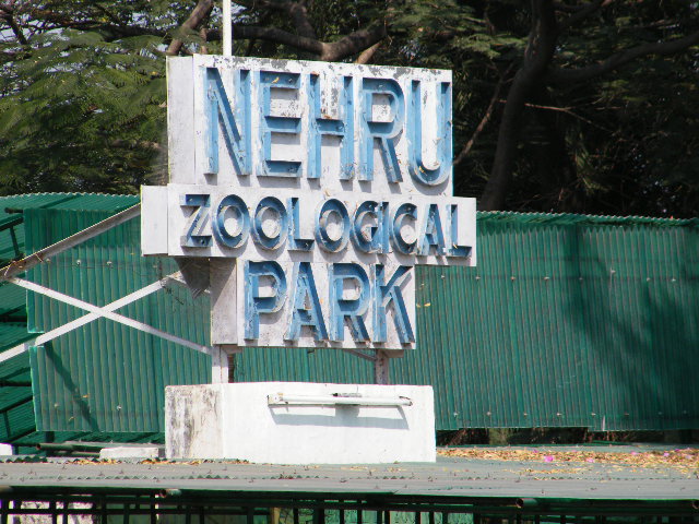 Nehru-Zoological-Park2