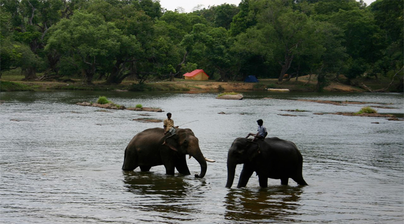 coorg-tour-attraction